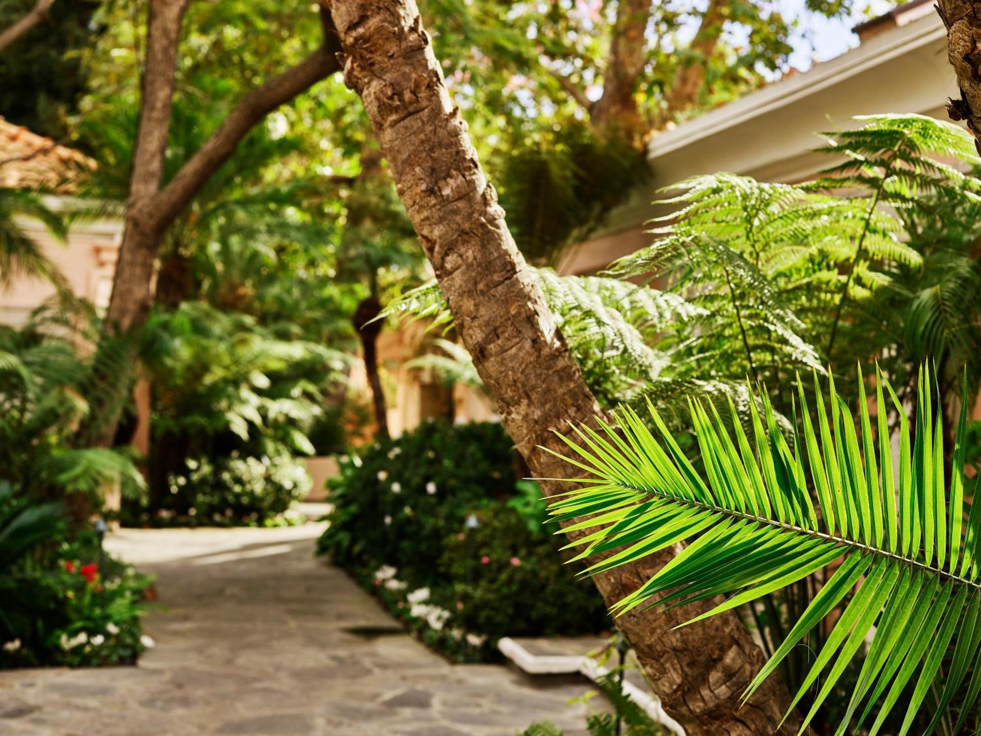 Hotel Bel-Air - Dorchester Collection — الصور 2